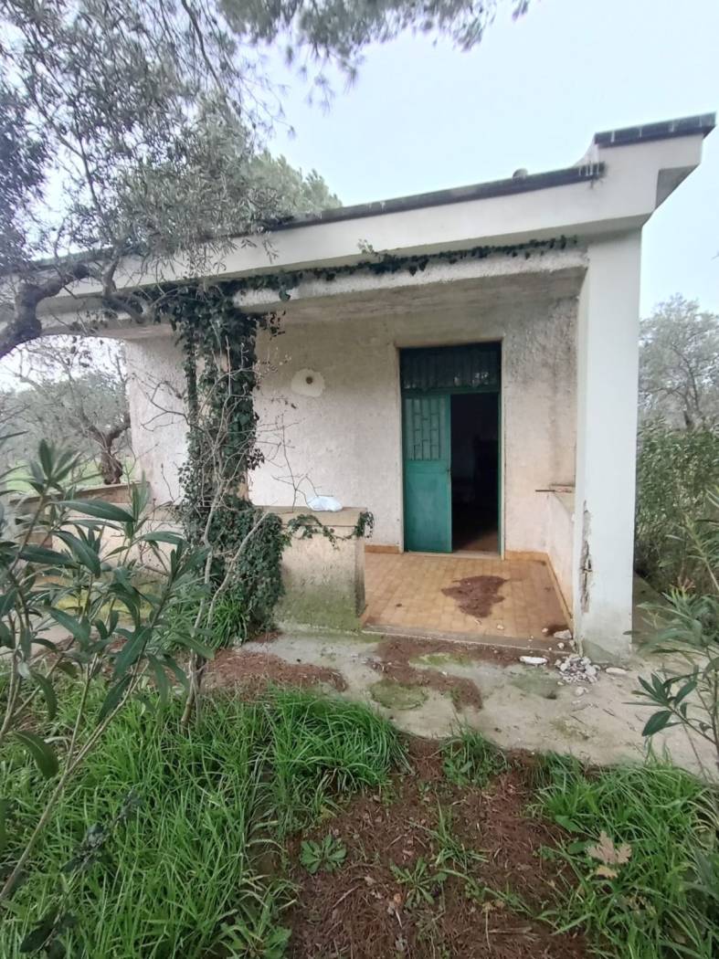 Terreno