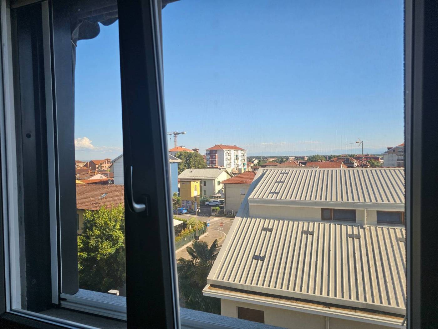 Vista