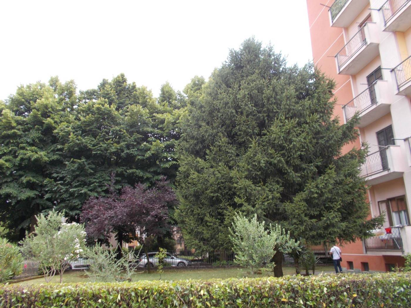 Cortile interno