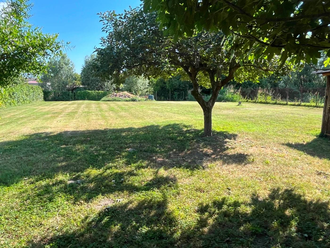 Terreno Terreno