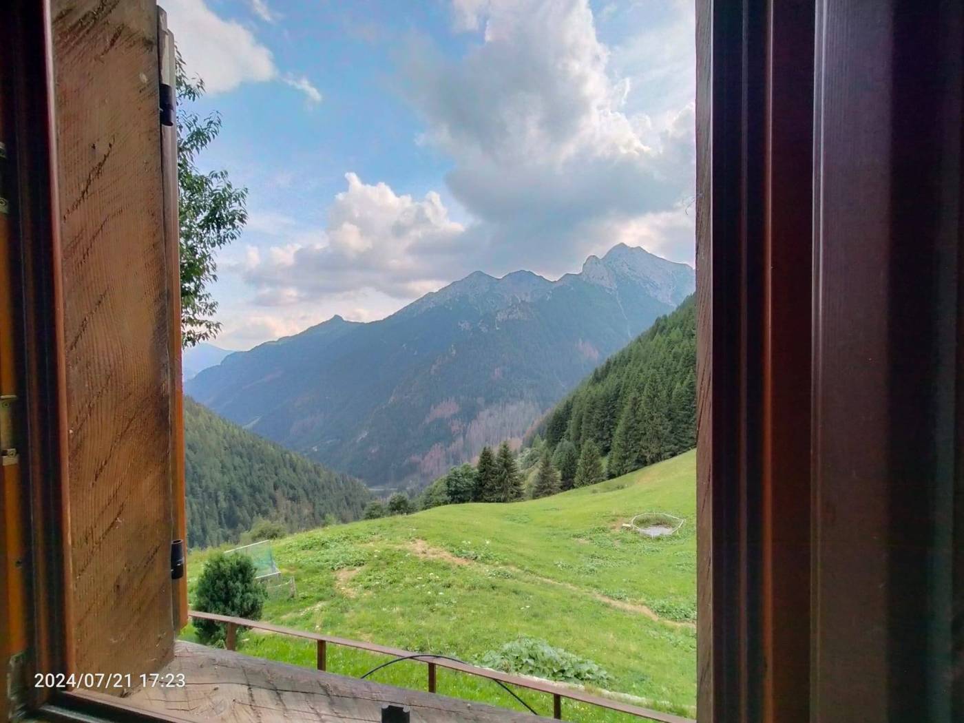 Vista