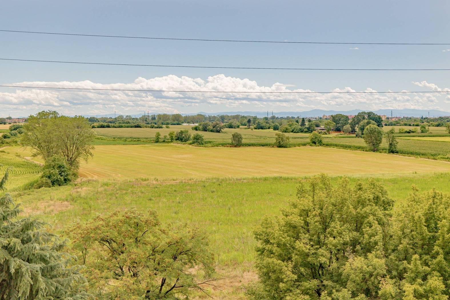 Terreno