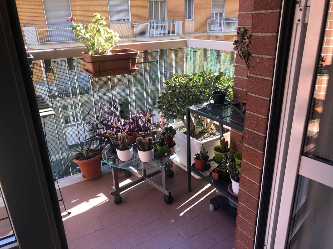 Balcone