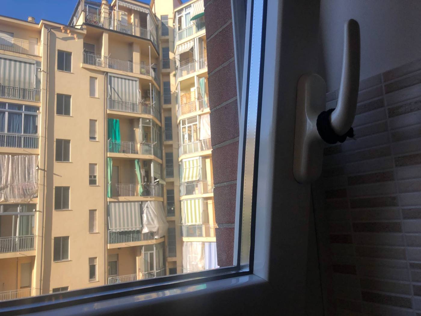 Vista
