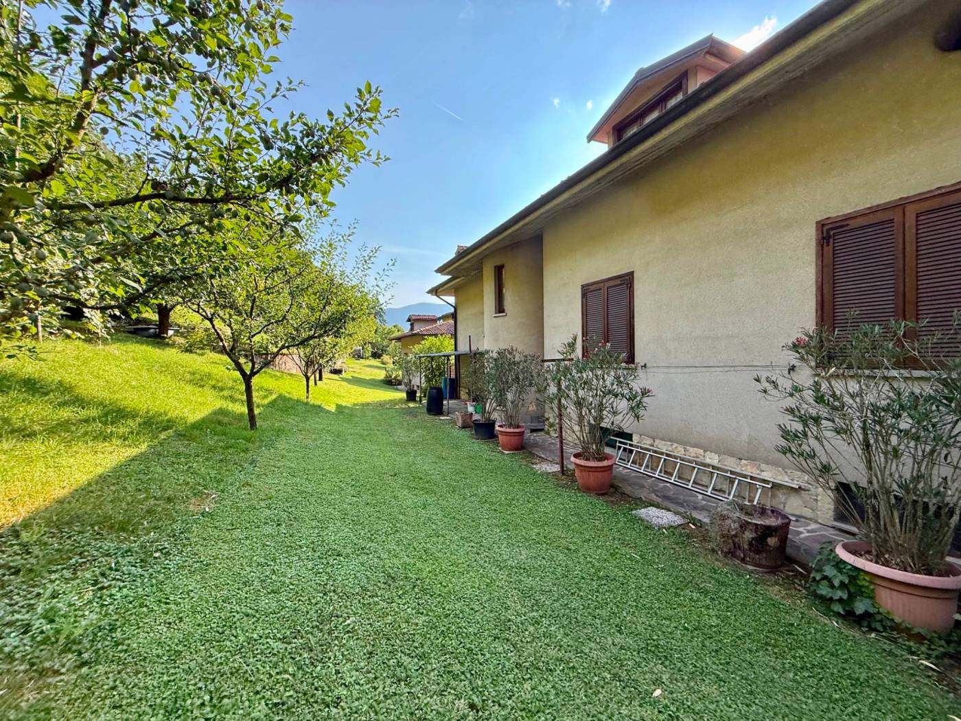 Giardino