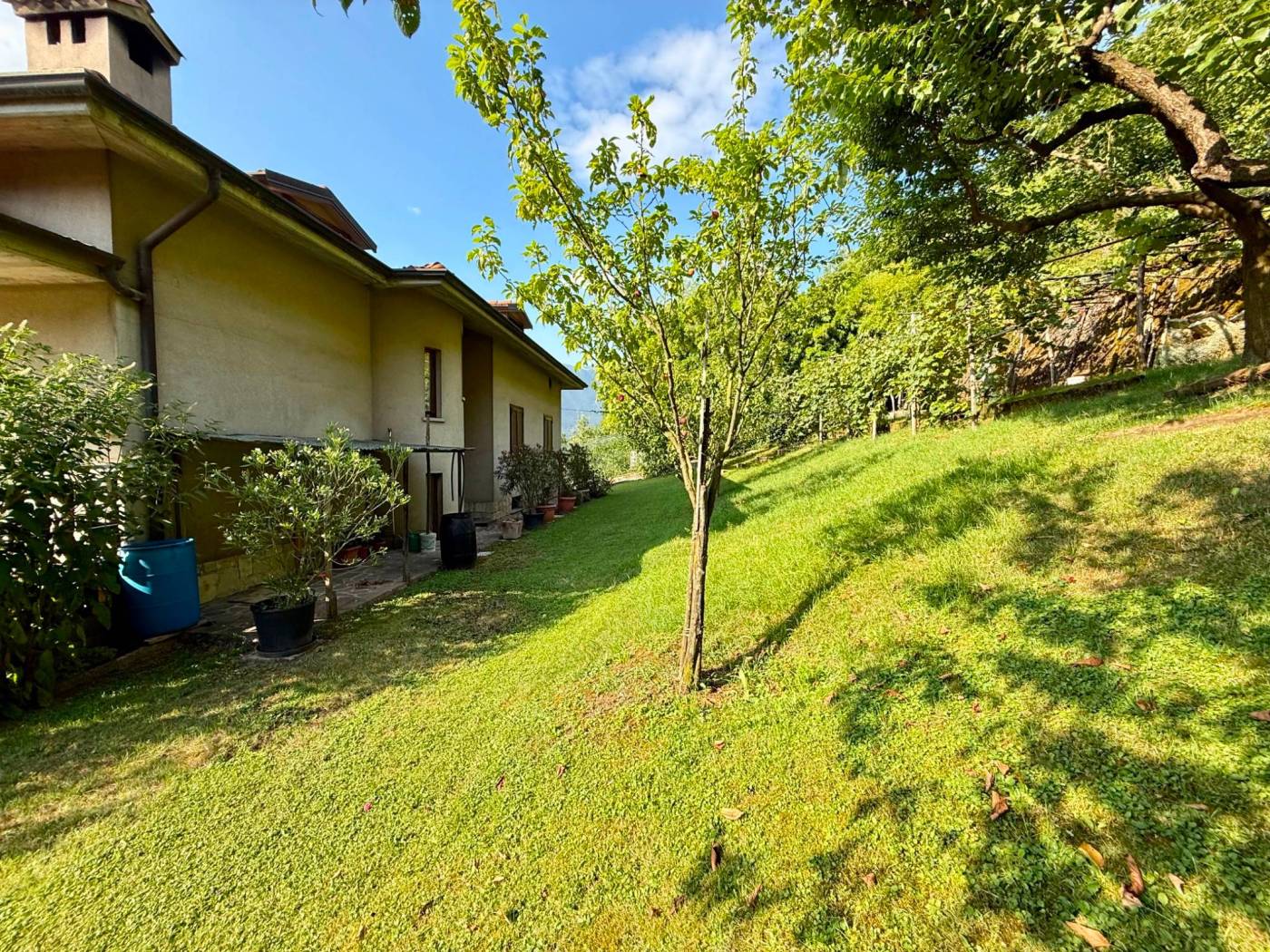 Giardino