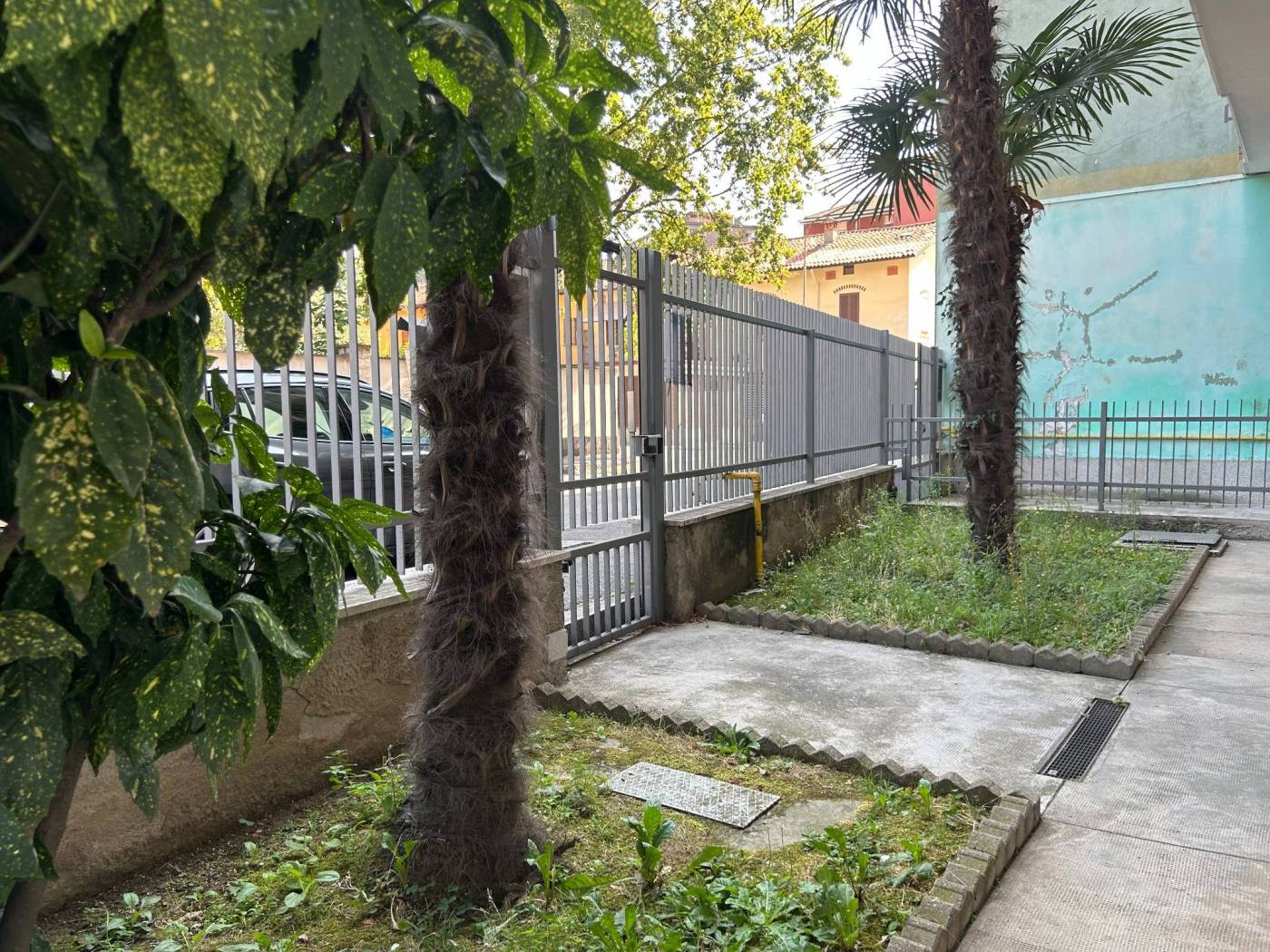 Giardino