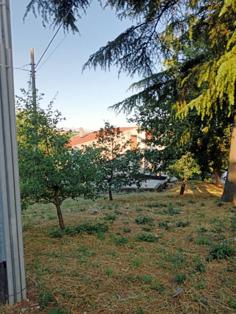 Terreno