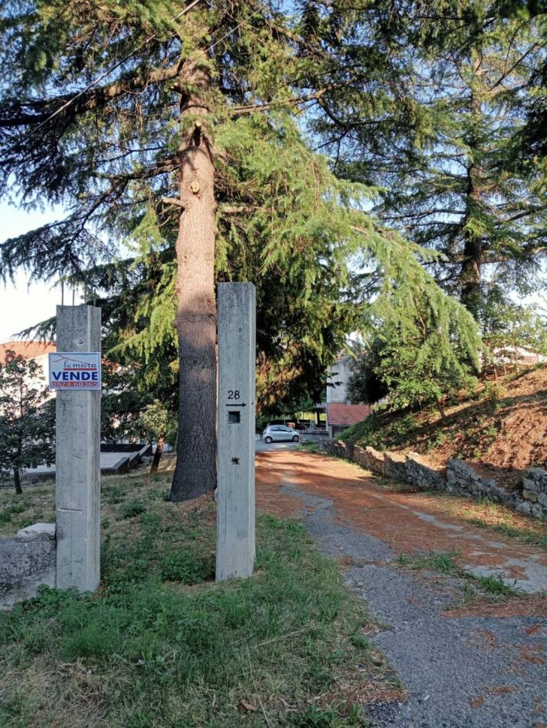 Terreno