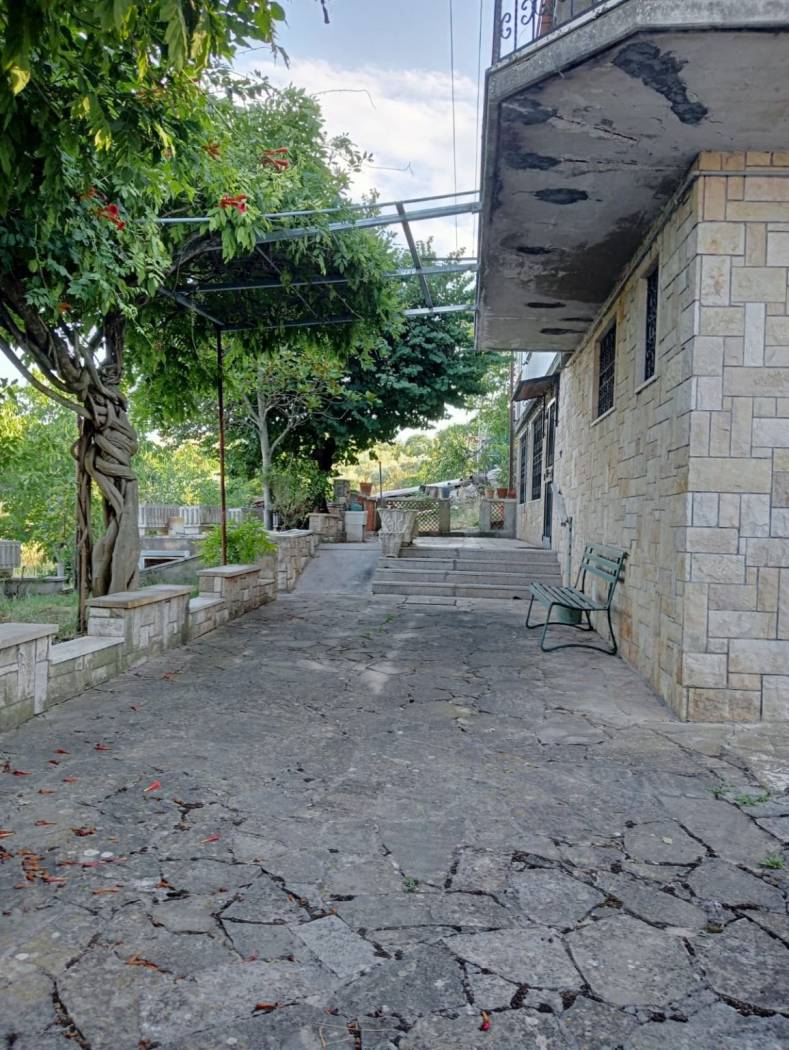 Zona