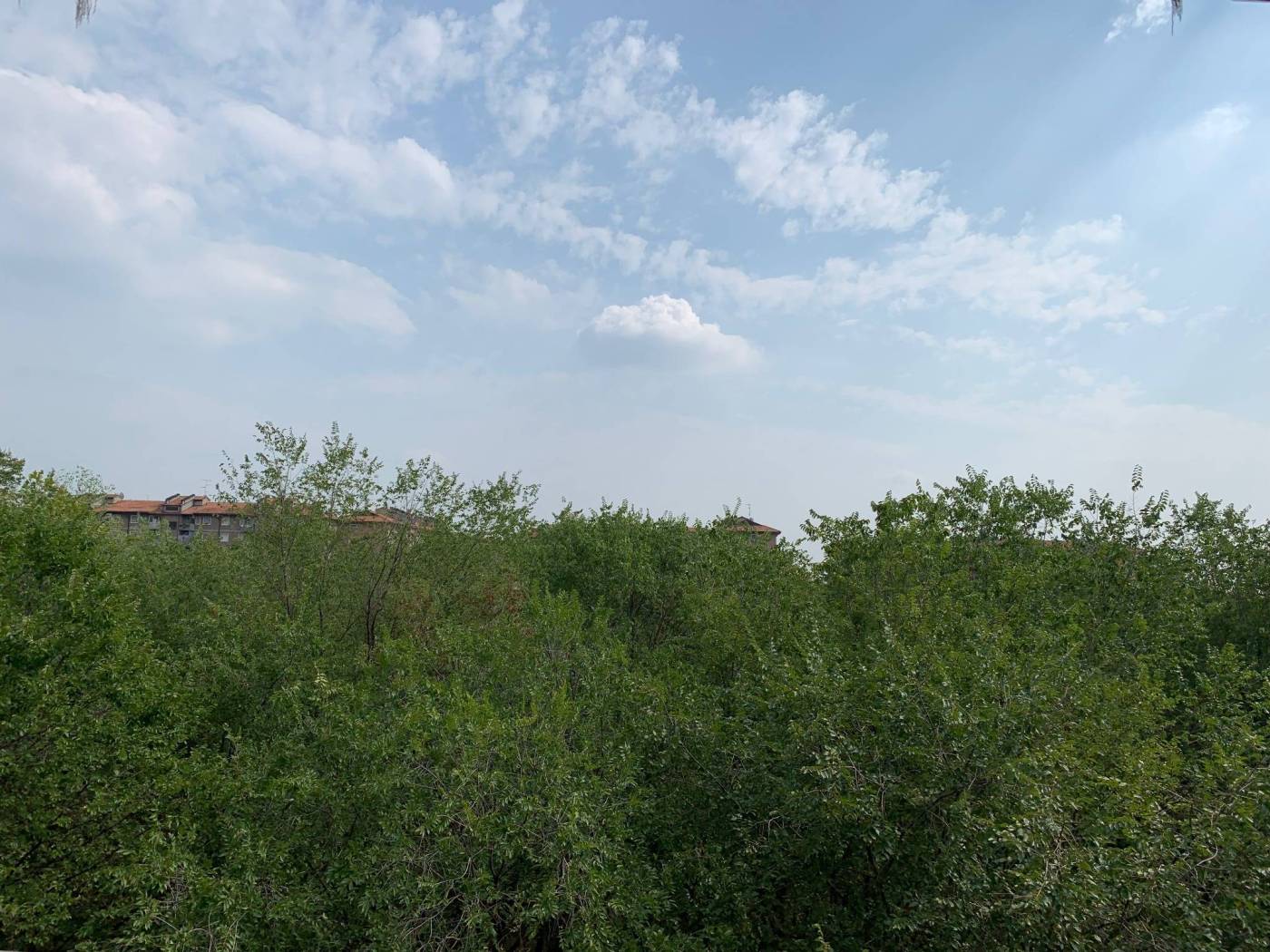 Vista