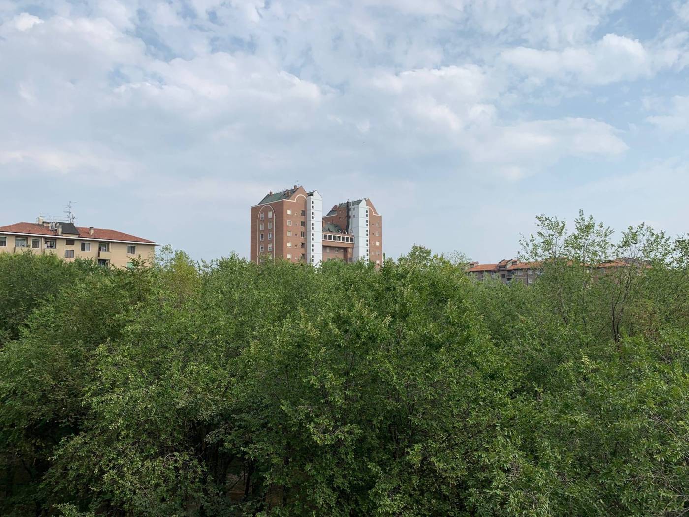 Vista