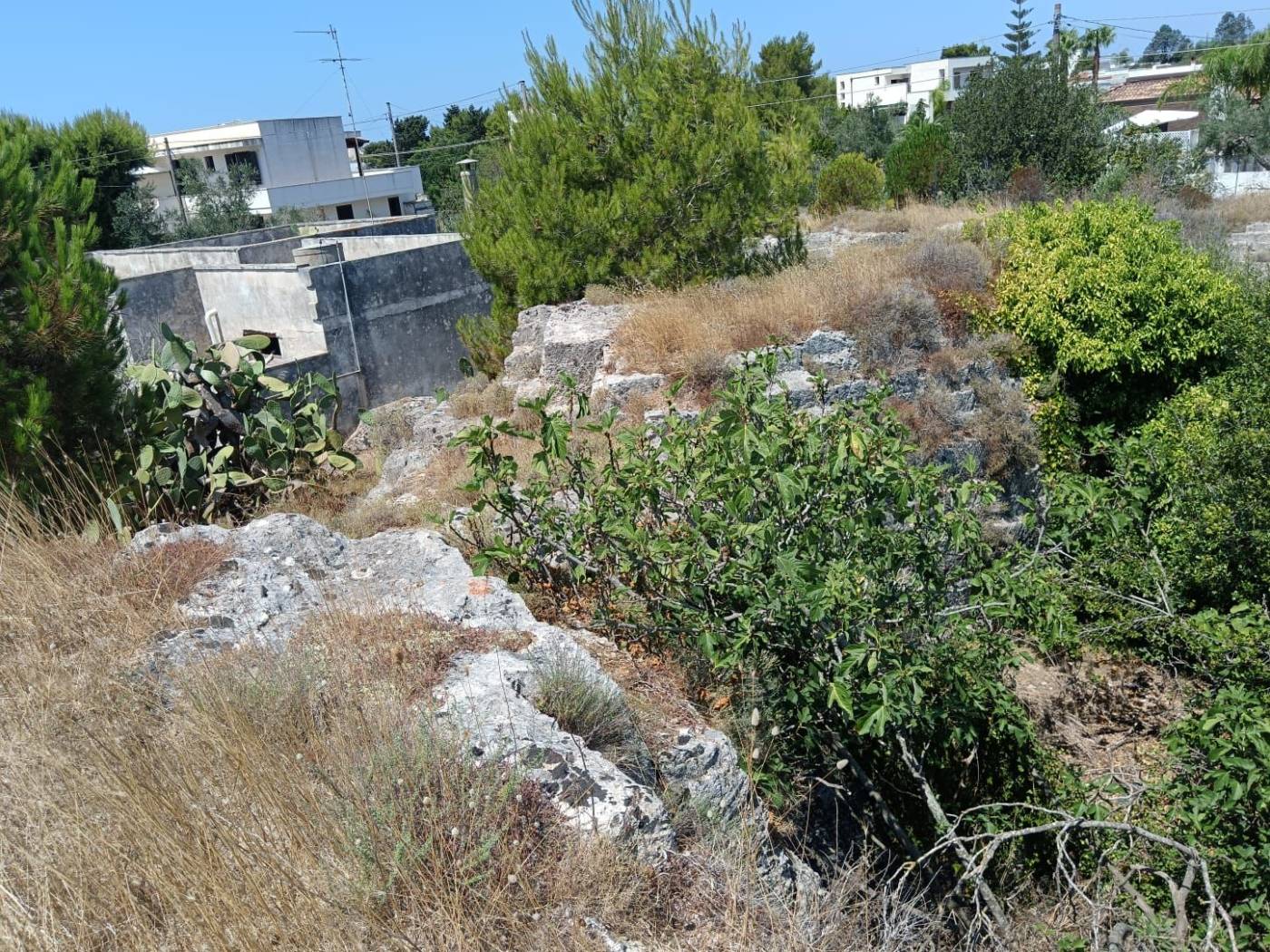 Terreno