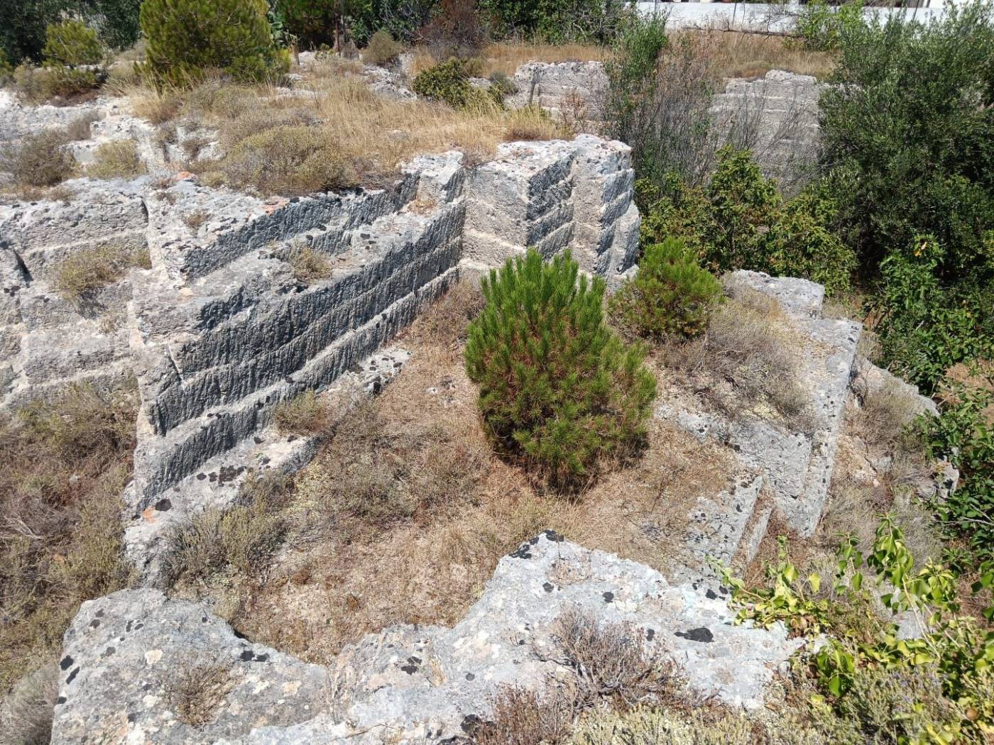 Terreno