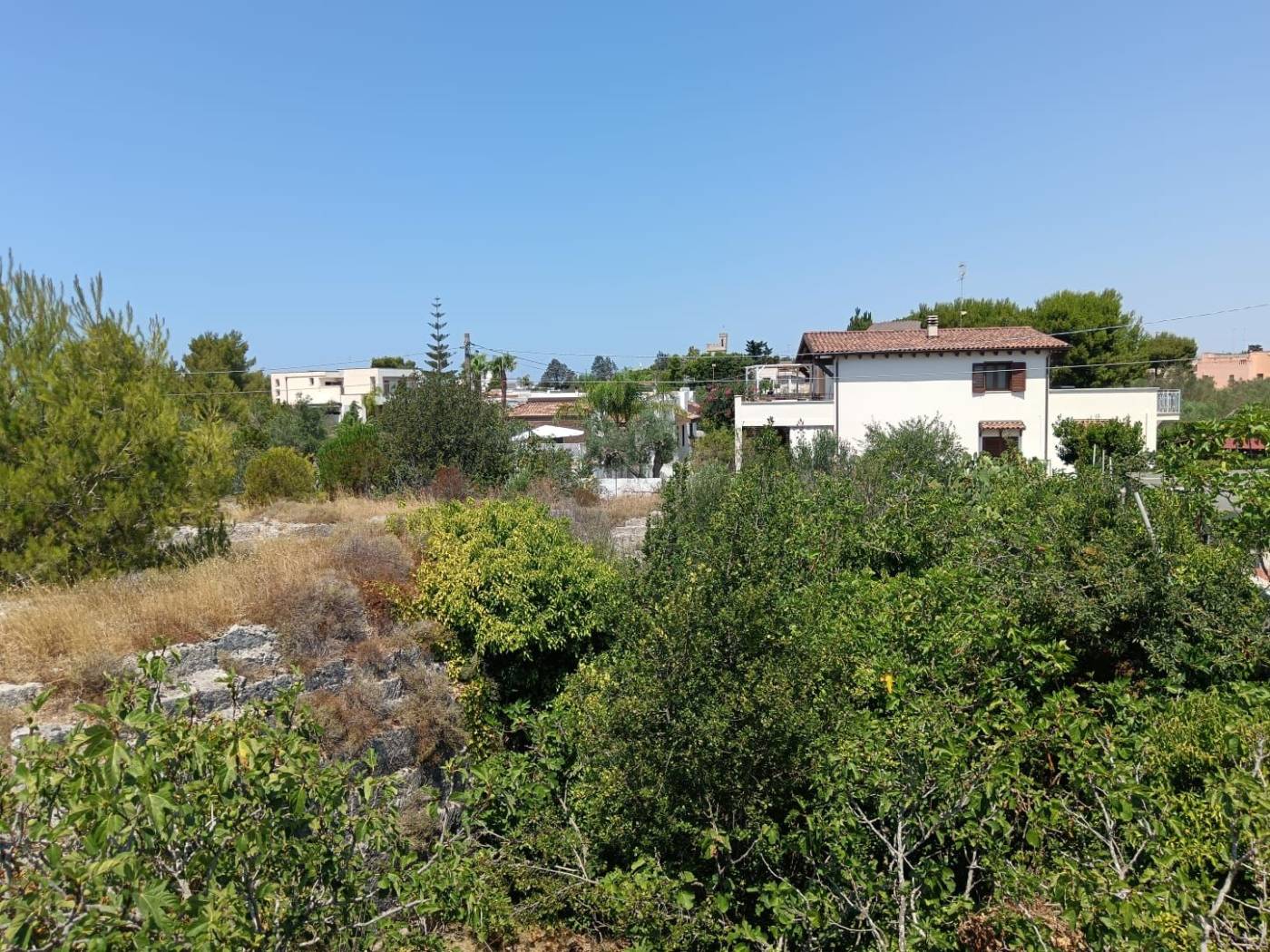 Terreno