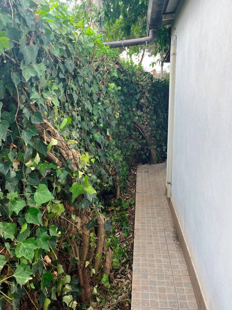 Giardino Giardino