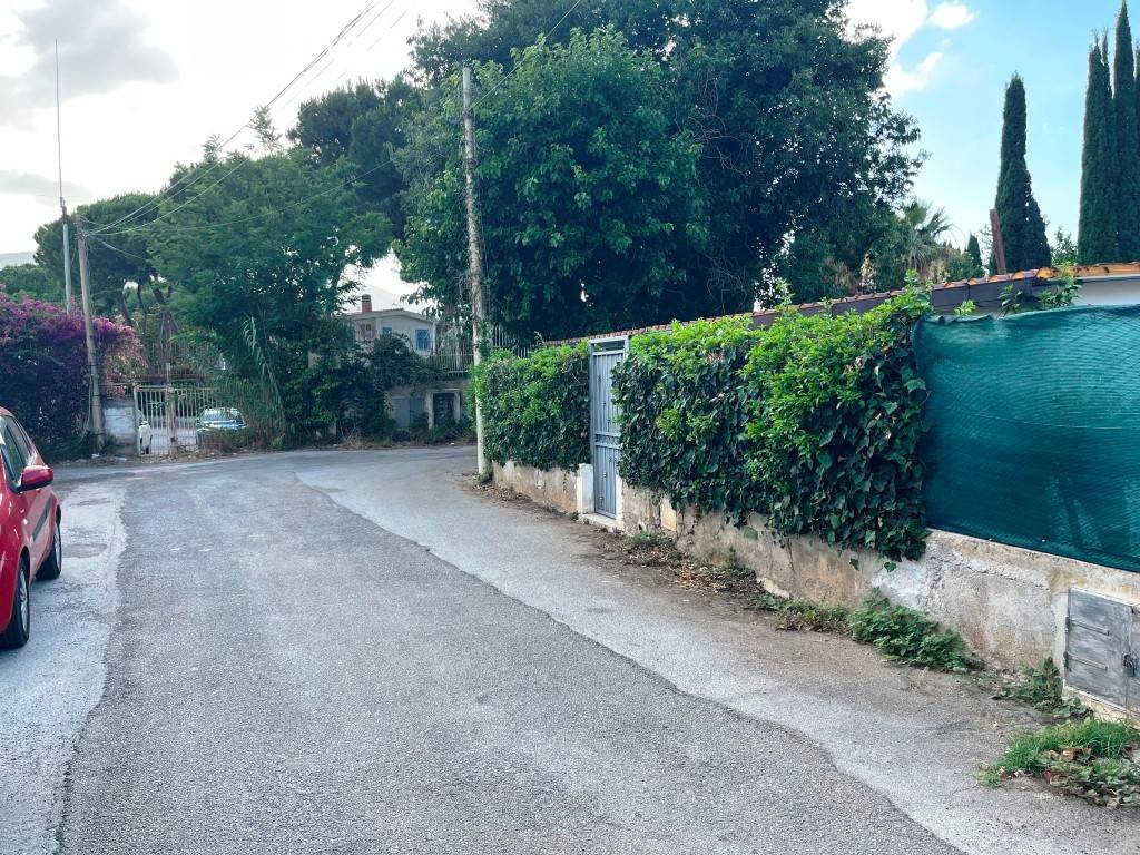 Zona Zona