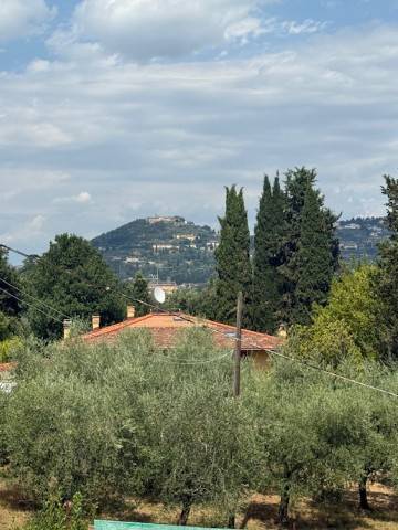 Vista
