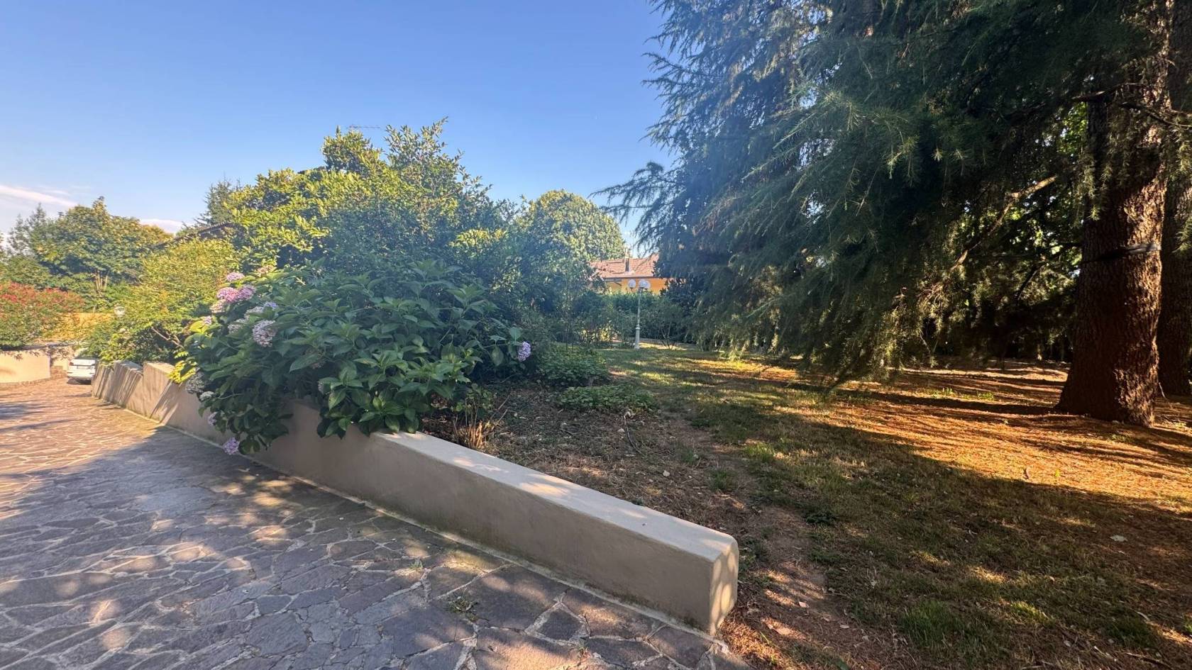 Giardino