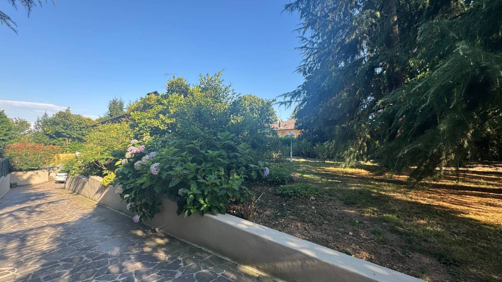Giardino