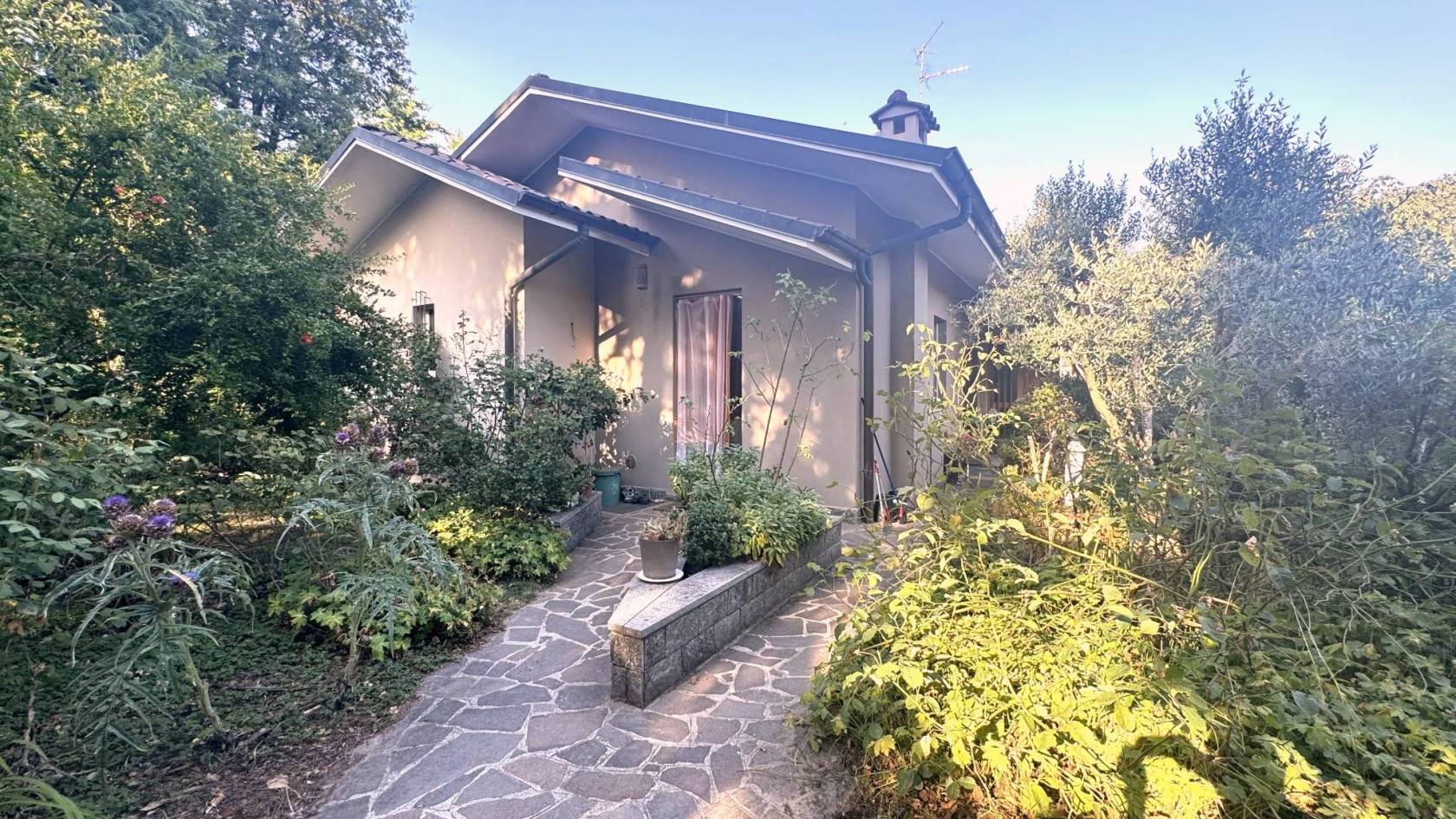 Giardino