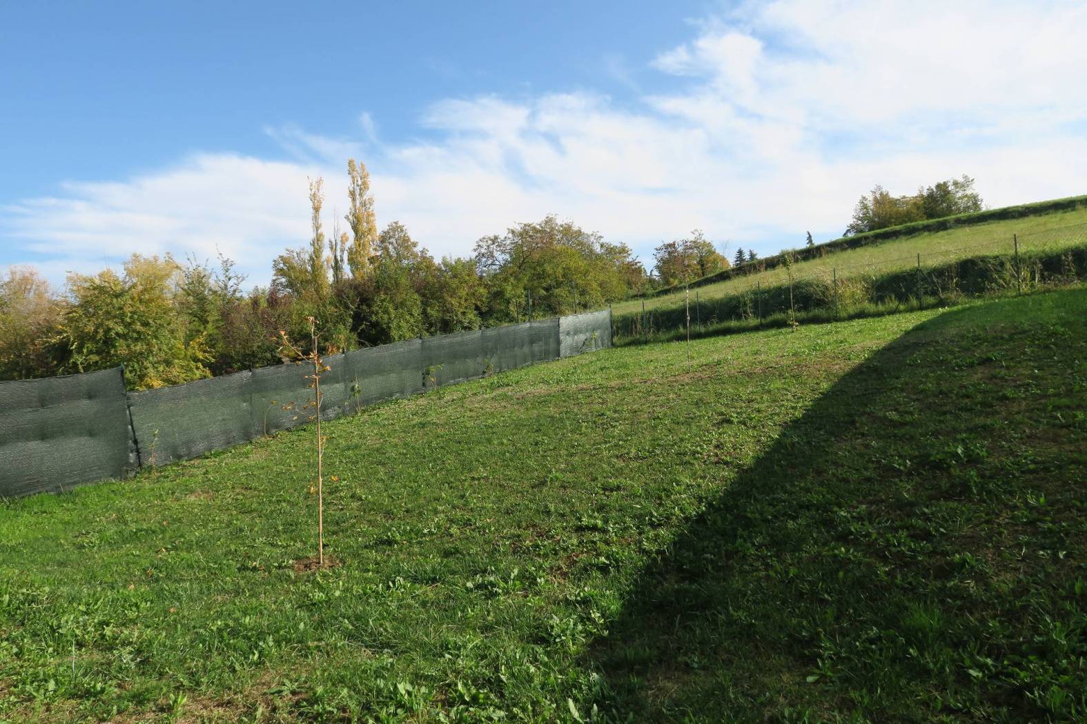 Terreno
