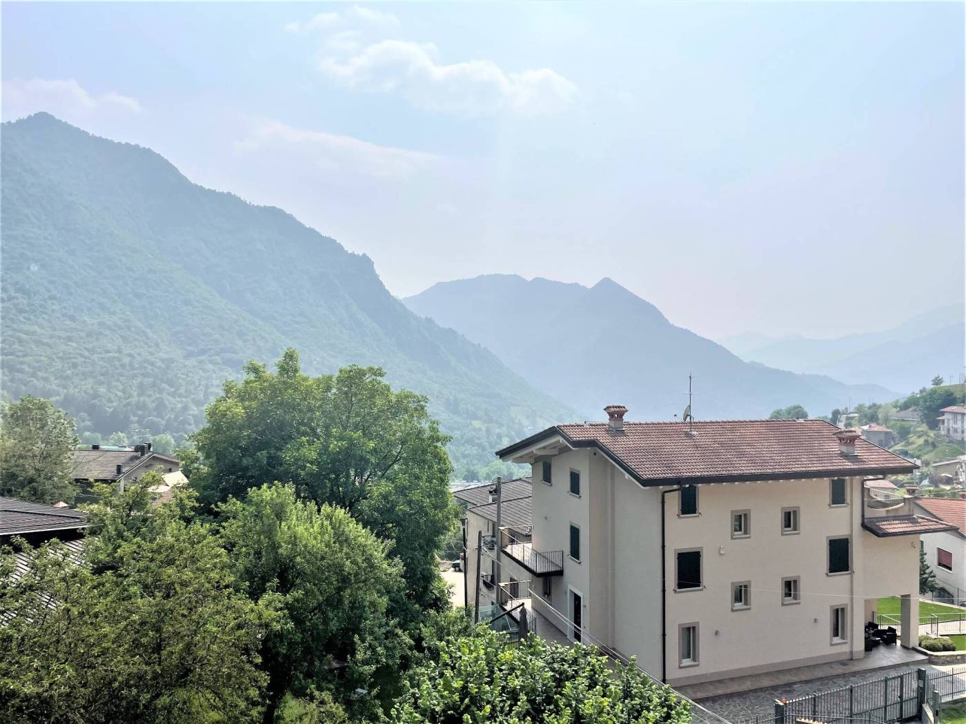 Vista