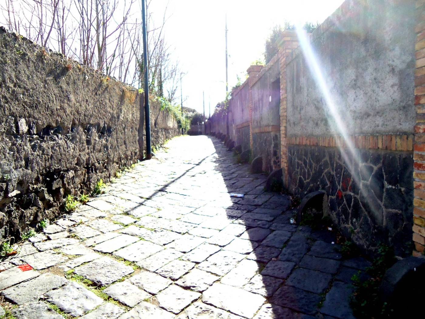 Zona