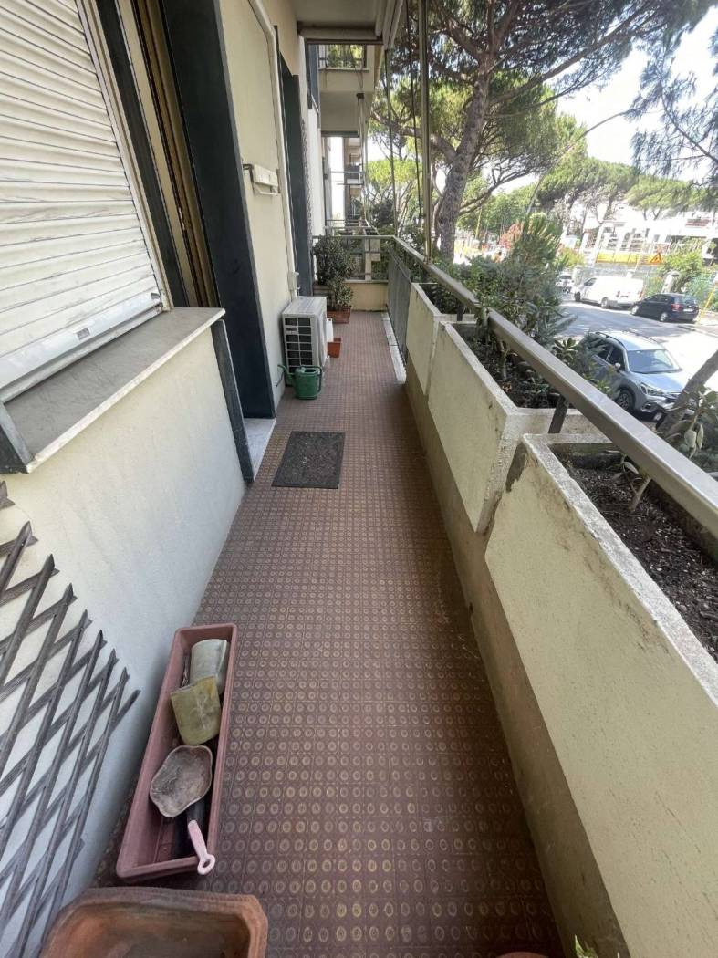 Terrazzo