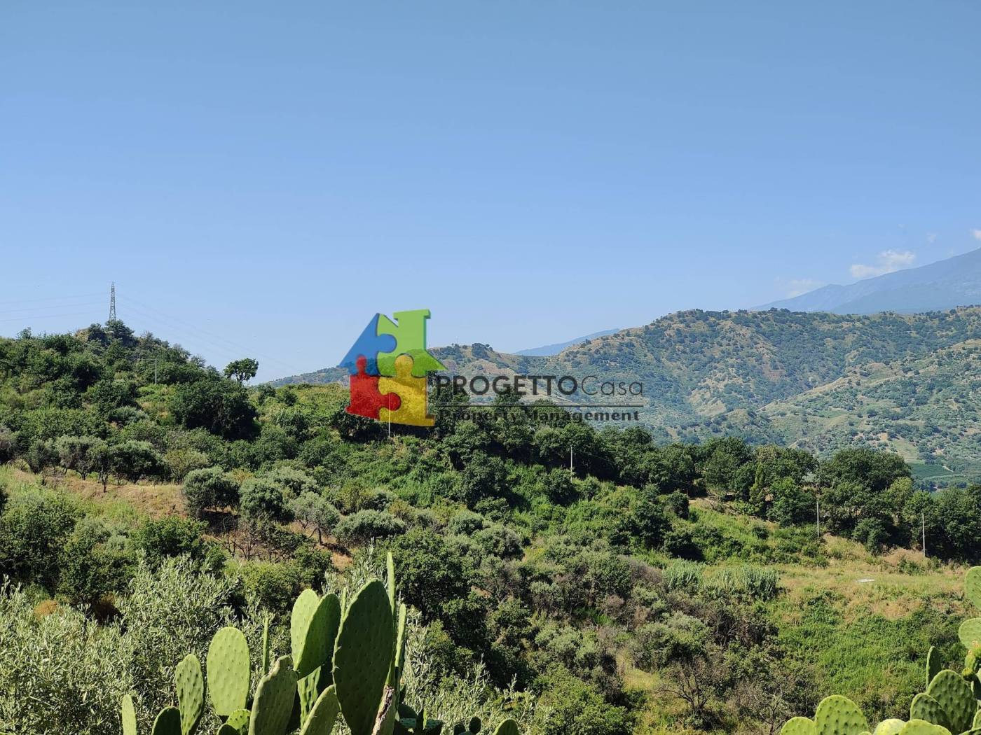 Vista