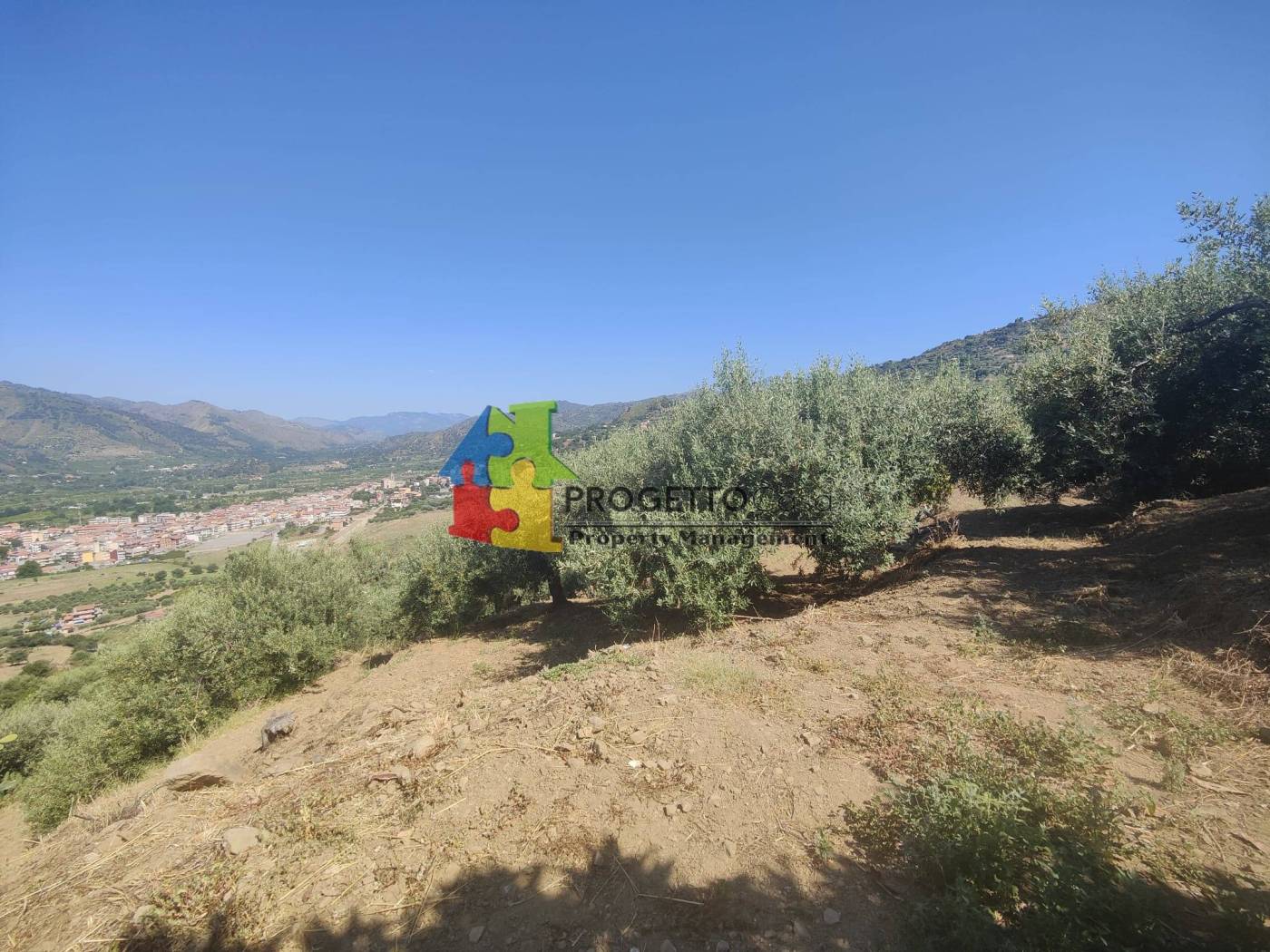 Terreno