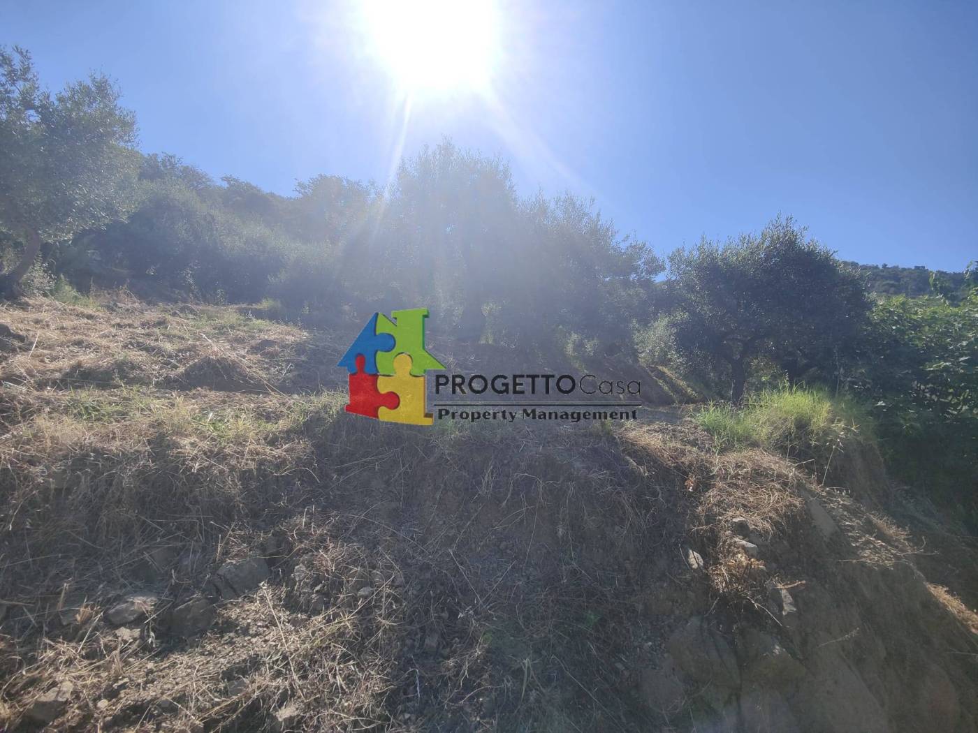 Terreno