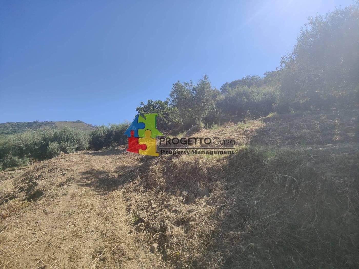 Terreno