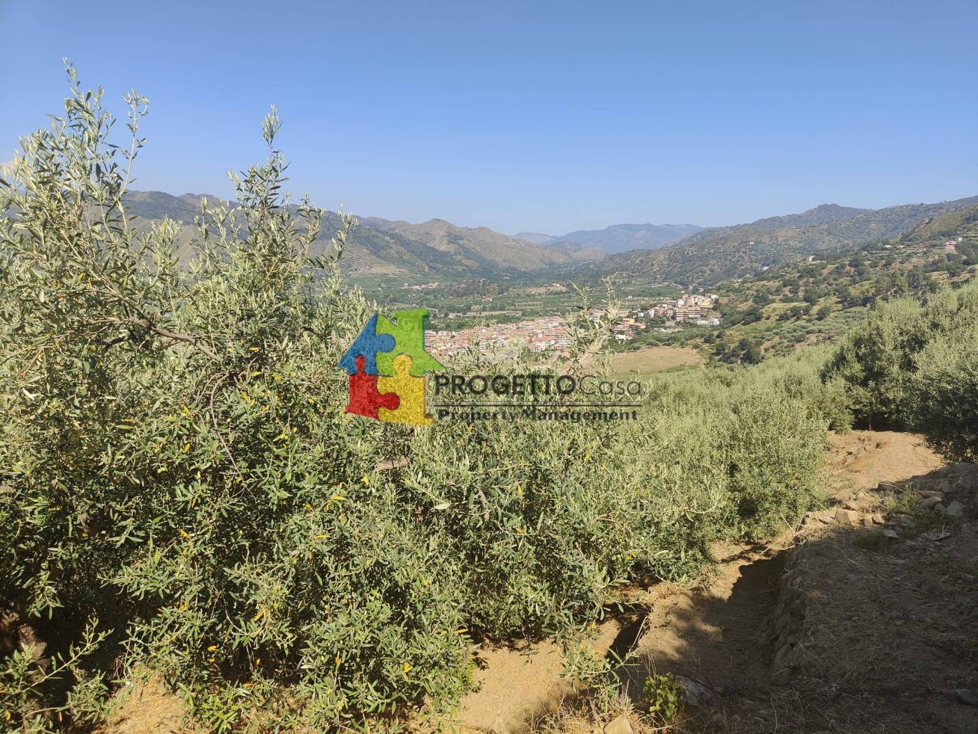 Vista