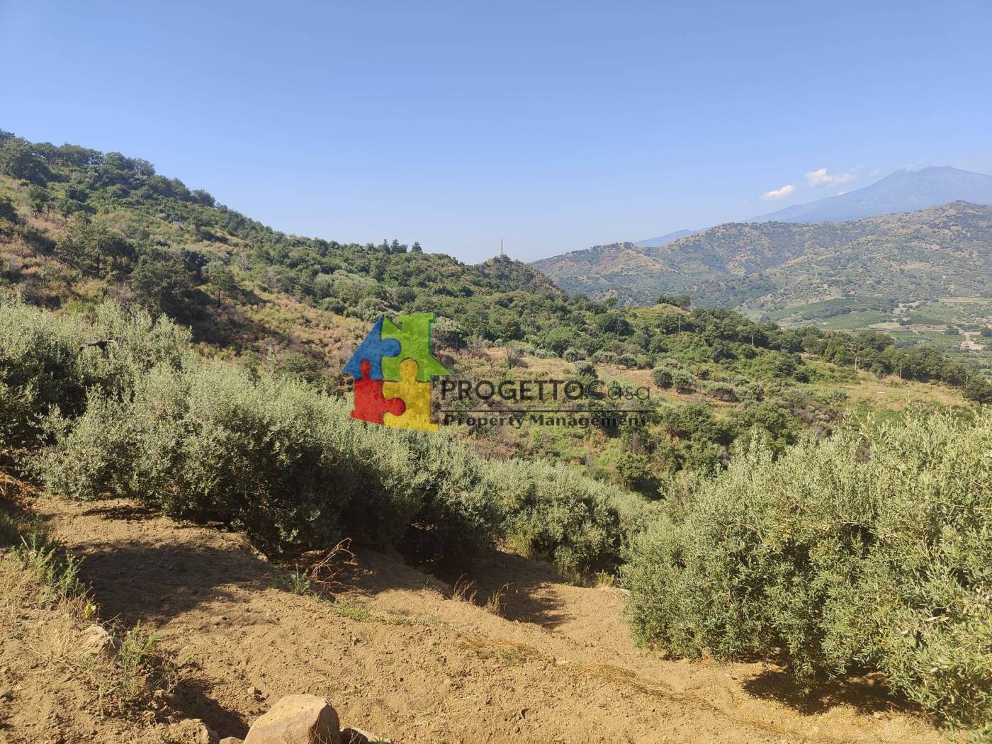 Terreno