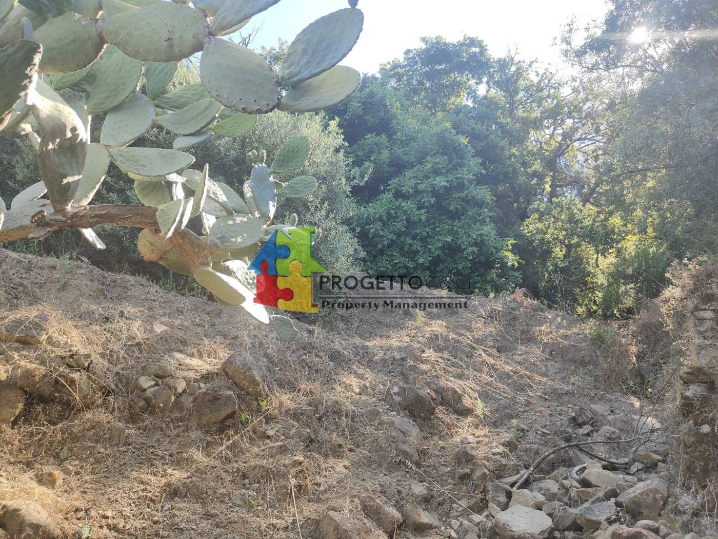 Terreno
