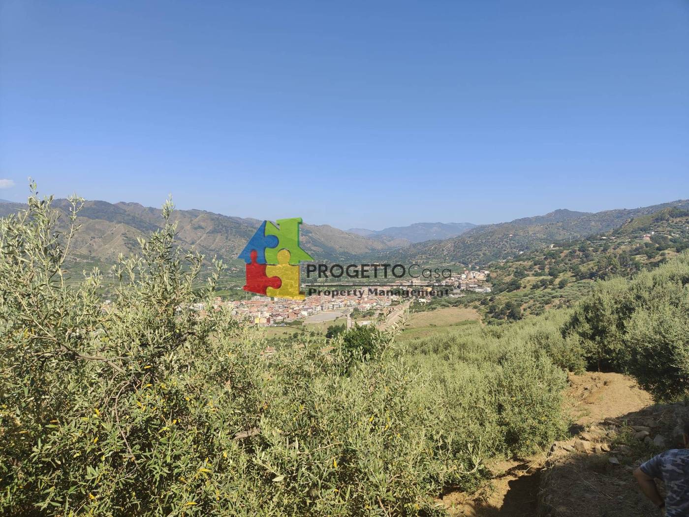 Vista