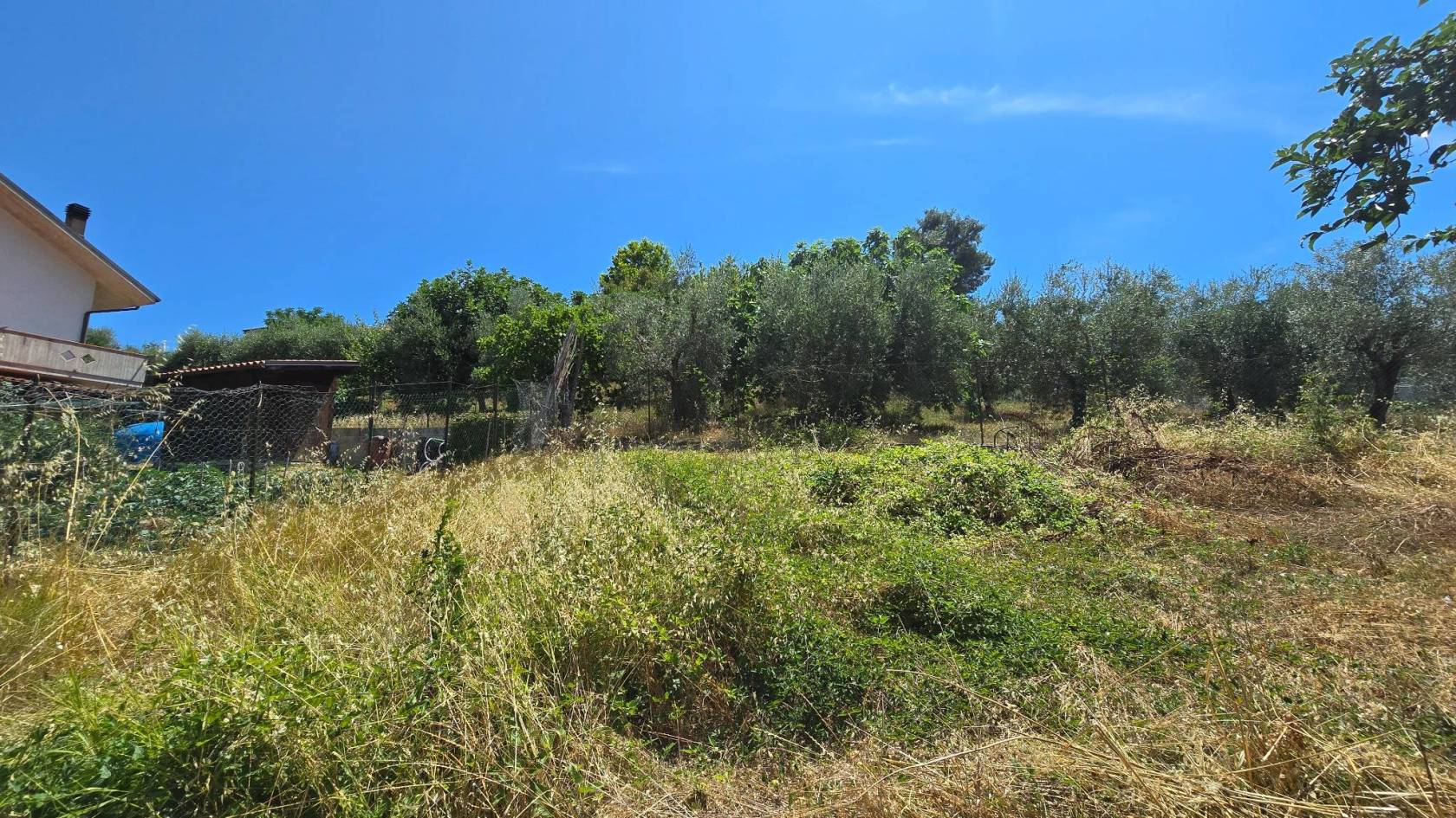 Giardino