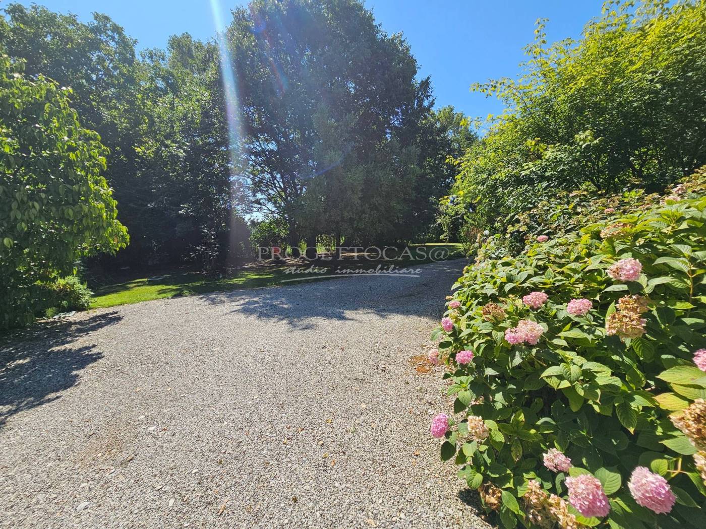 Giardino
