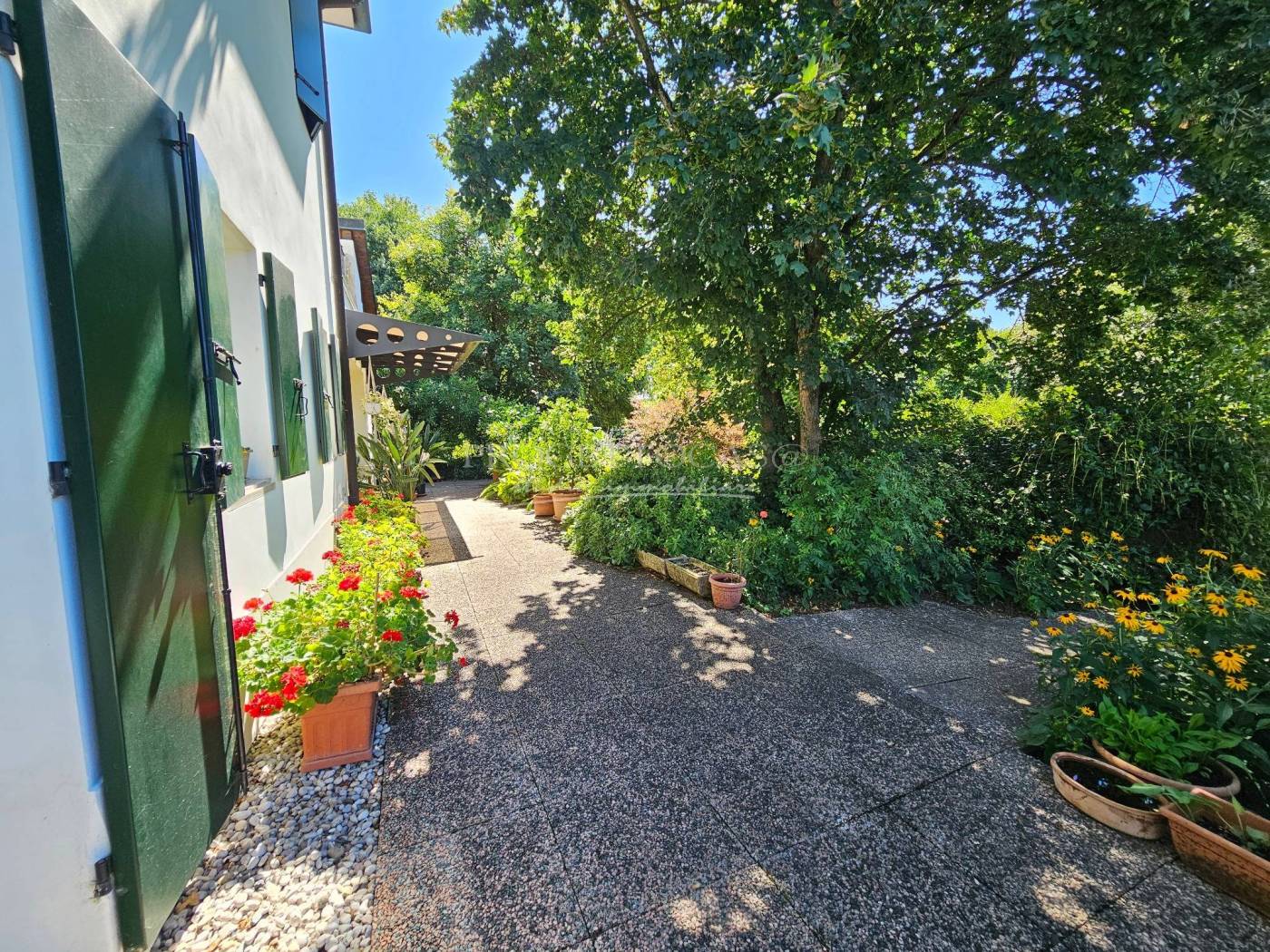 Giardino