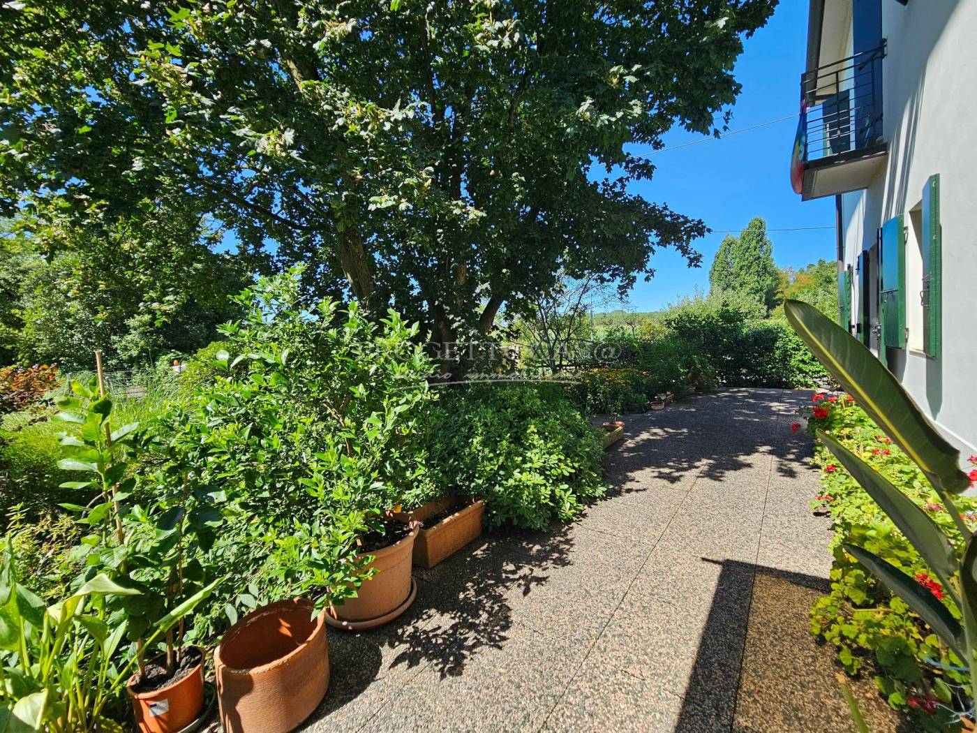 Giardino
