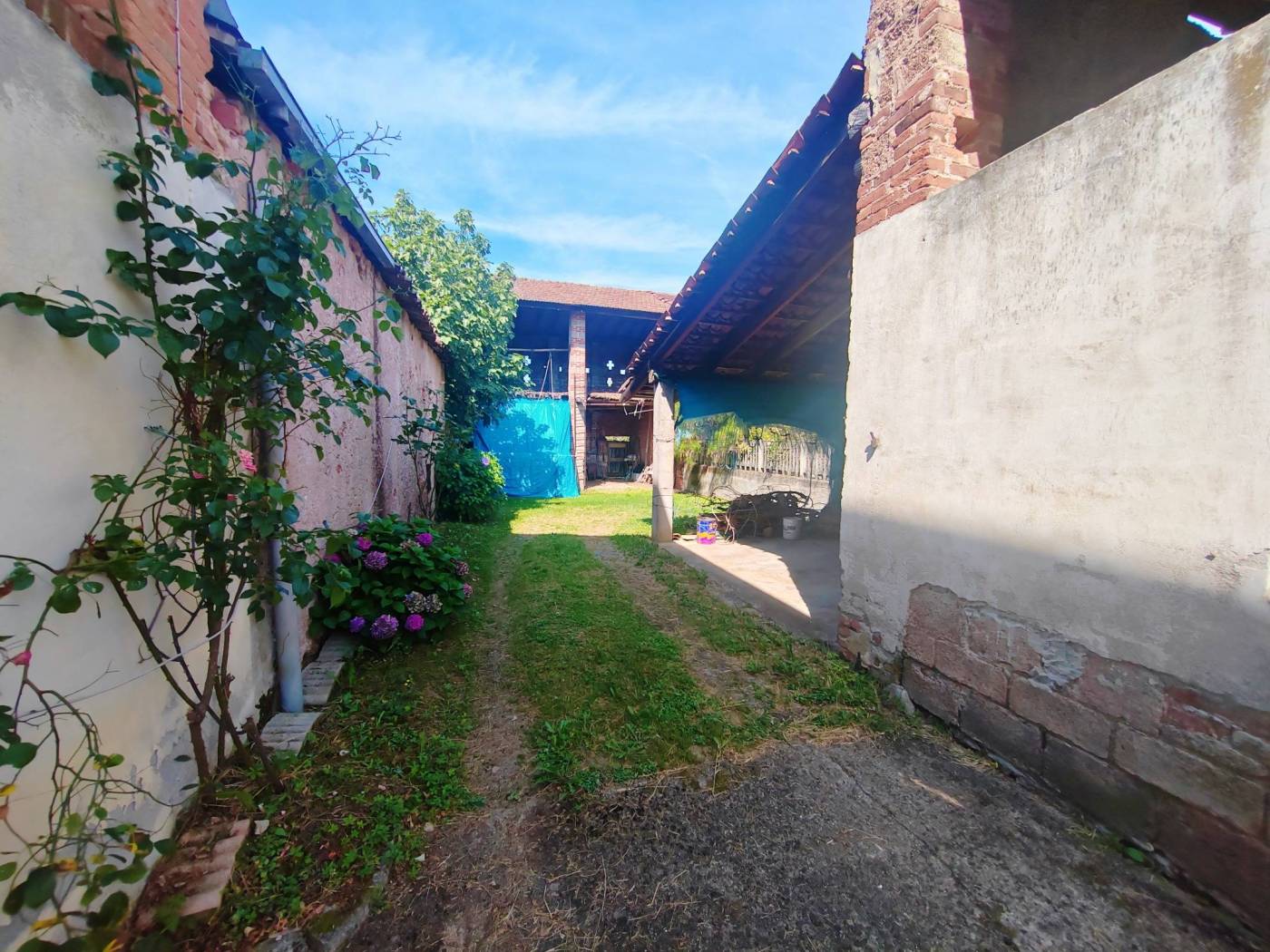Giardino
