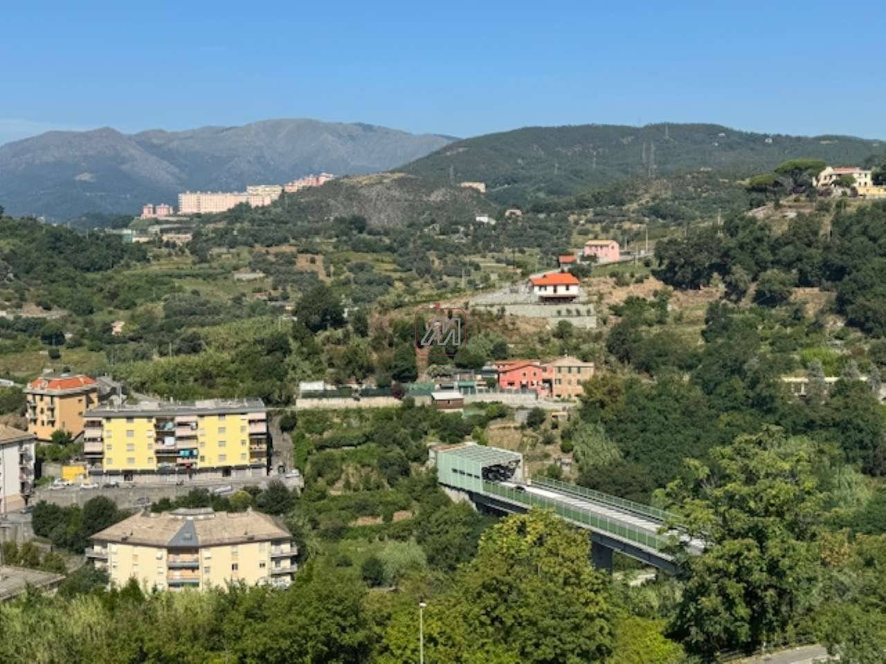 Vista