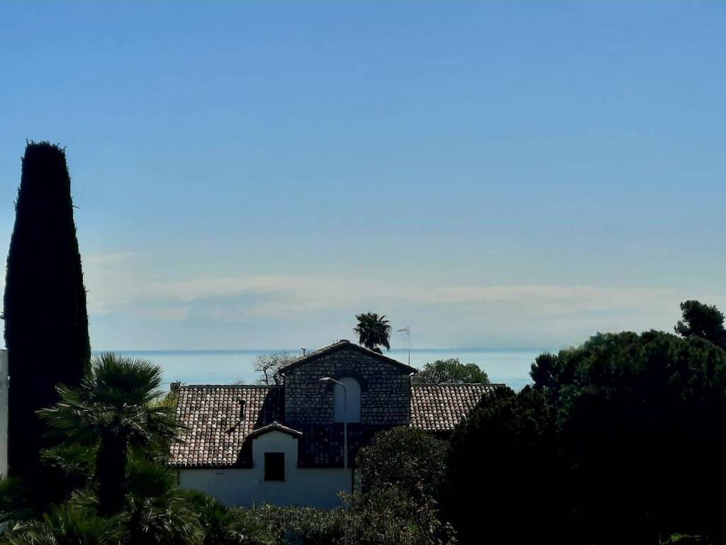 Vista