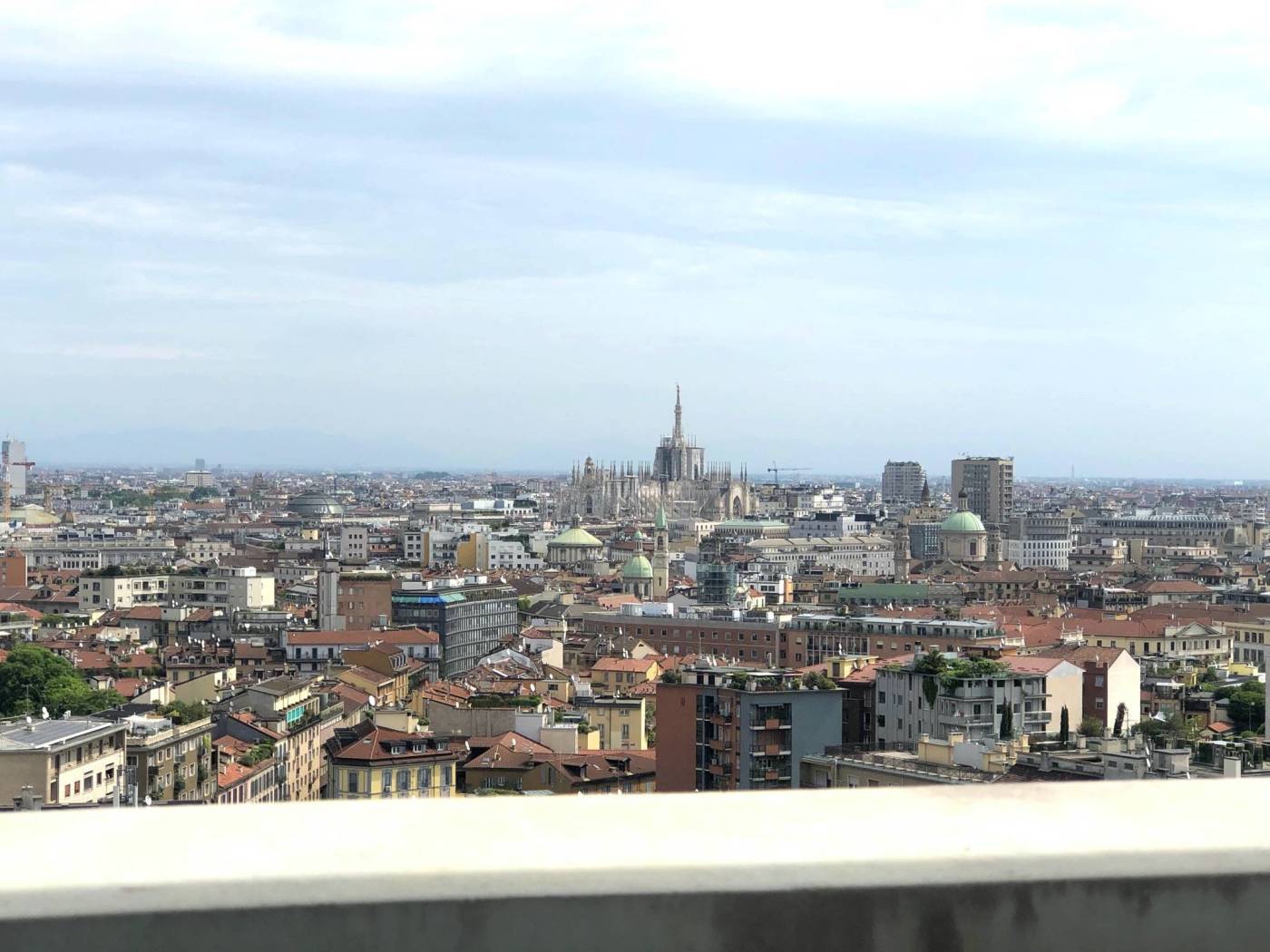 Vista