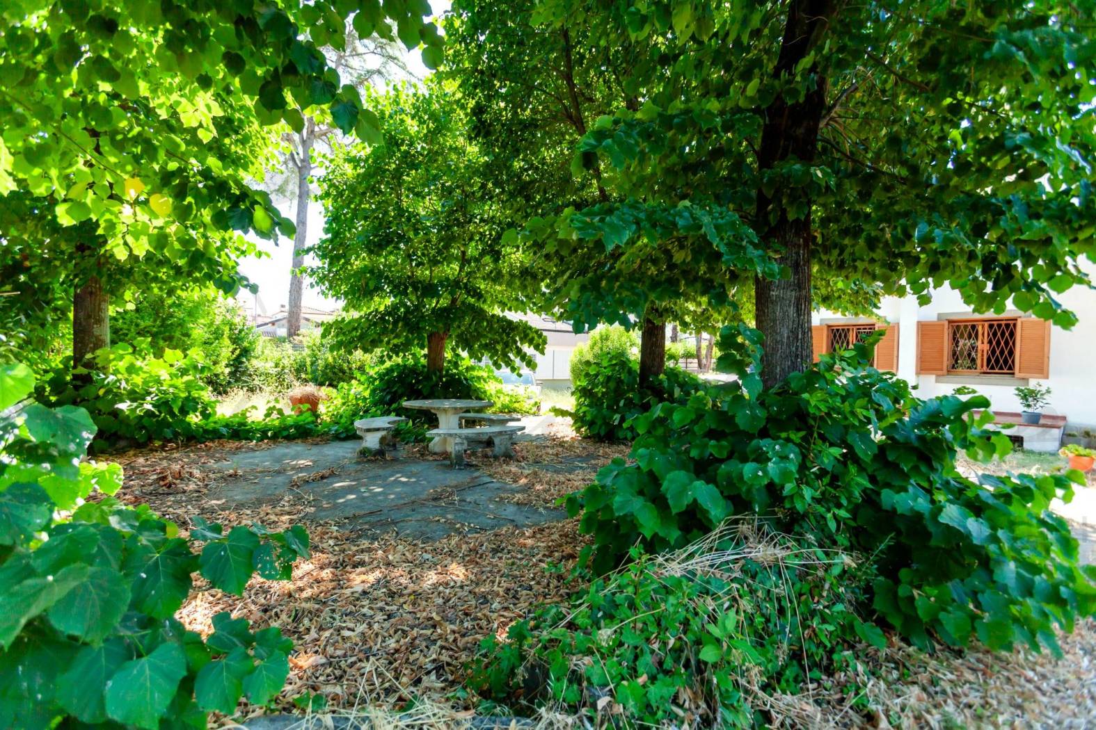Giardino