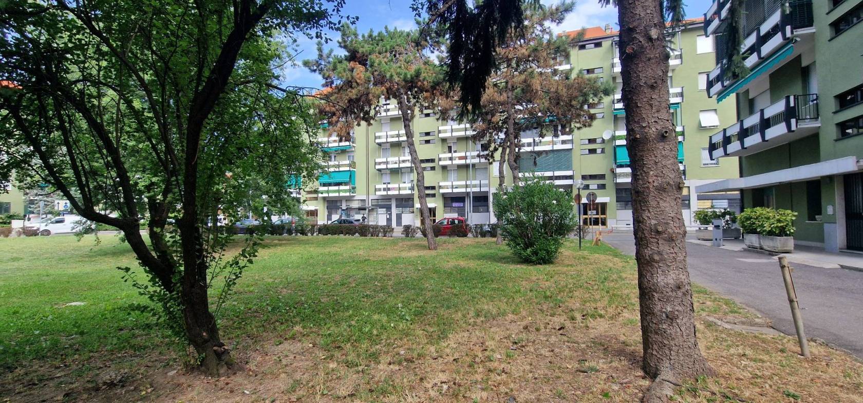 Giardino