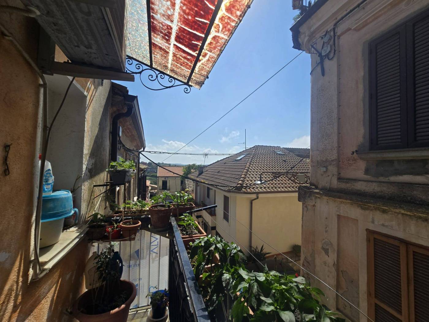 Vista