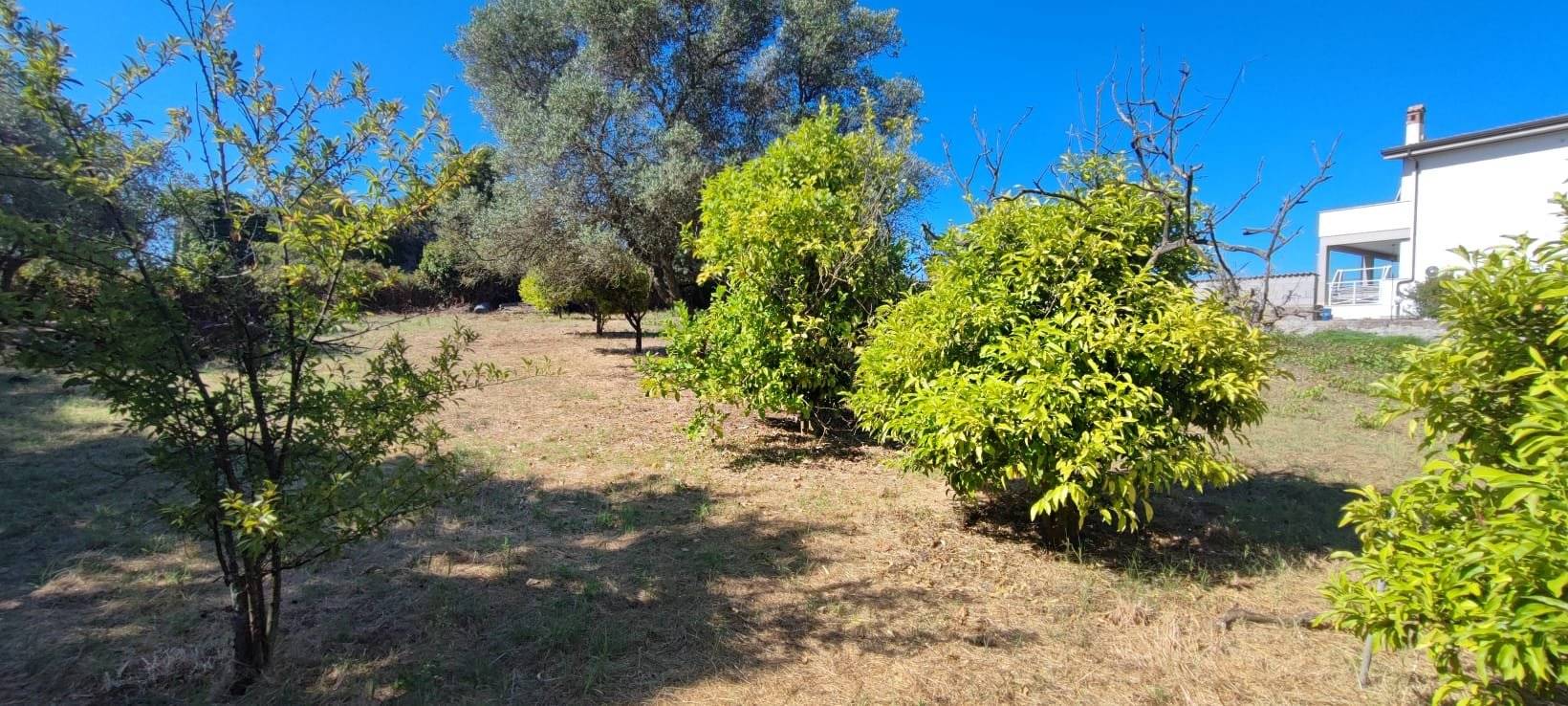 Terreno
