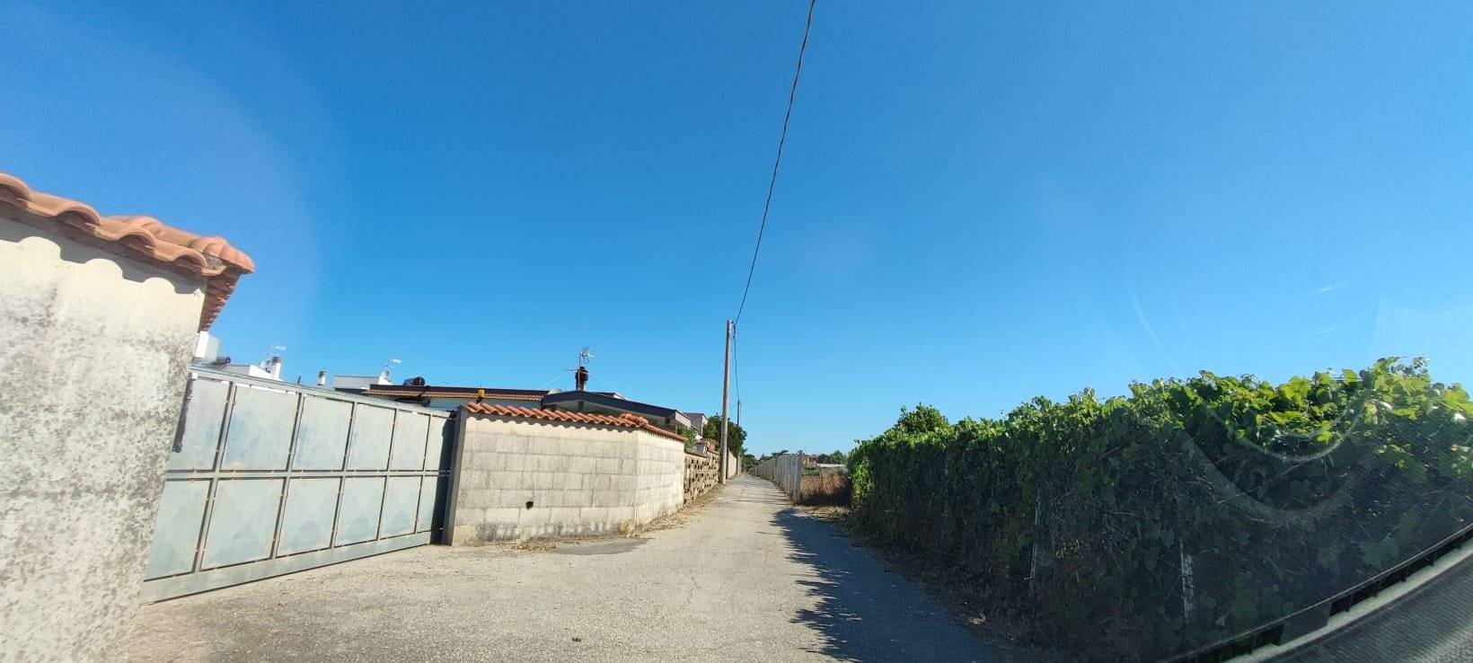 Zona